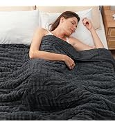 Wemore Jacquard Fleece Weighted Blanket Queen Size 60" x 80" 15lbs, Super Soft Cozy Sherpa Weight...