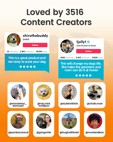 cat automatic feeders