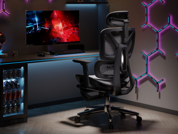 flexispot C7 Lite office chair