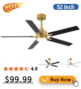 ceiling fan