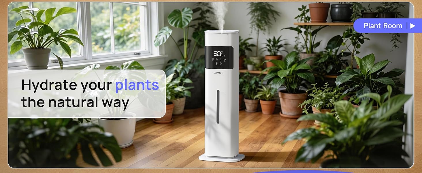 humidifier for plants