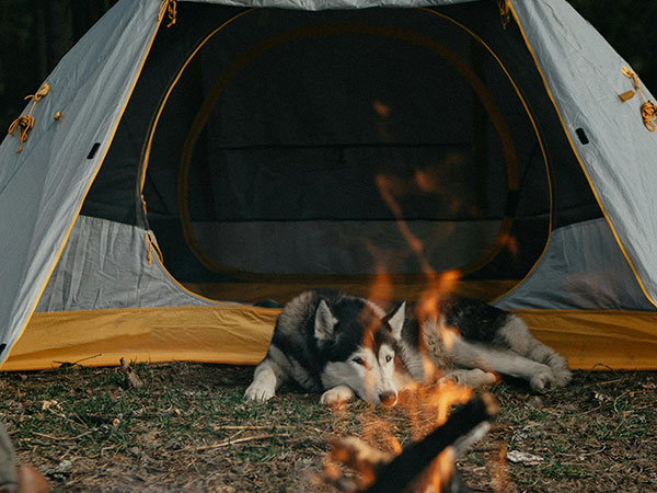 Blowing Campfires