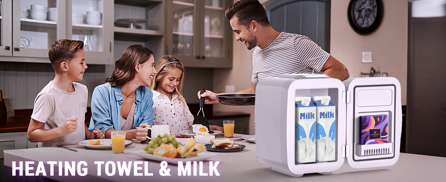 Mini Fridge Small Refrigerator Portable Thermoelectric Cooler and Warmer Fridge