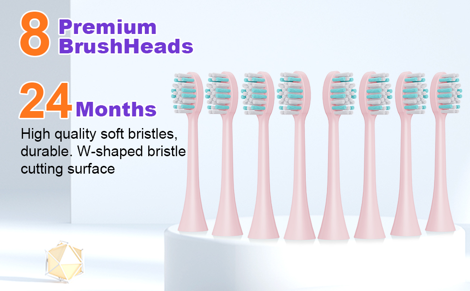 8 replacement brush heads