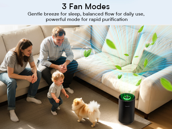 sans air purifiers for home