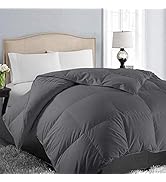 EASELAND All Season Queen Size Soft Quilted Down Alternative Comforter Reversible Duvet Insert wi...