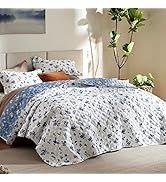Bedsure Floral Quilt Queen Size - Reversible Blue &amp; White Floral Comforter, Daisy Design Lightwei...
