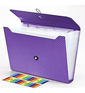 Expanding File Folder, 13 Pockets Accordian File Holder Organizer, A4 Letter Size Paper Document ...