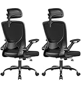 BESTFAIR Office Chair Ergonomic Desk Chair, Breathable Mesh Office Chairs with Adjustable Lumbar ...