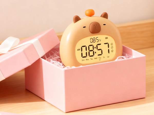 Perfect Gift