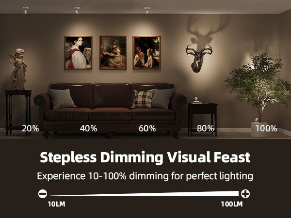 plant spotlight indoor