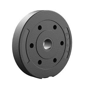 dumbbell plate