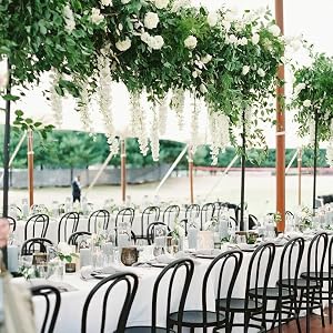 Wisteria Hanging Flowers