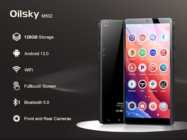 MP3 Player with Bluetooth and WiFi