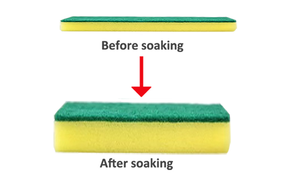 Sponges