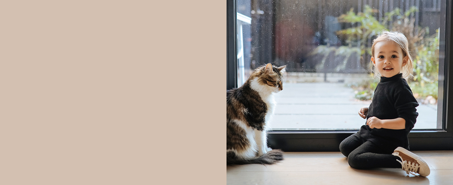 shatterproof window film outside window