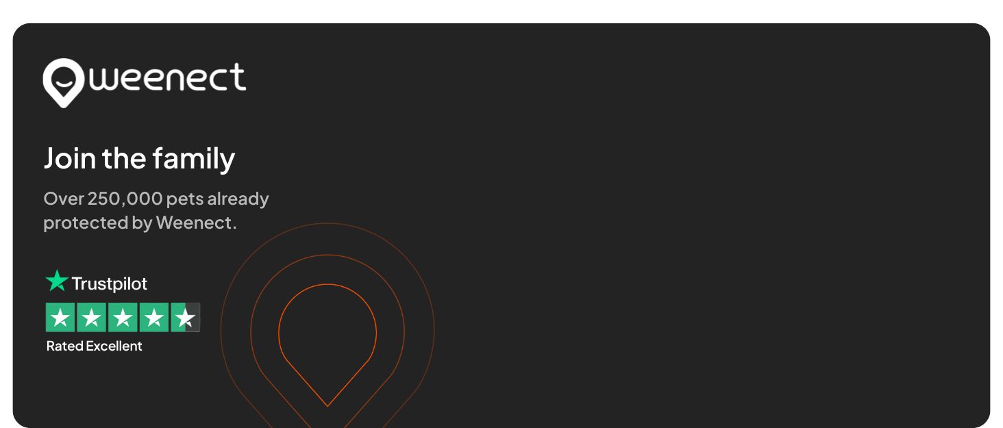 Text reads 'Queenect' and 'Join the family'. Dark interface showing 5-star Trustpilot rating with green stars against black background.