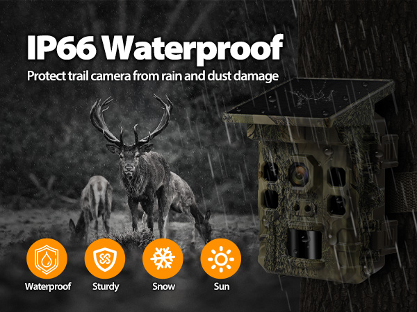 trail camera