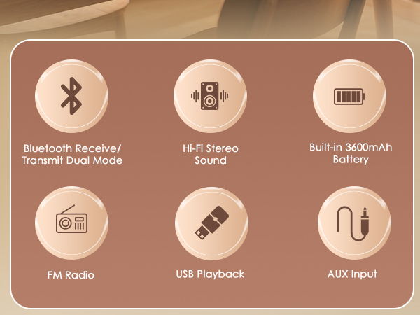 Text reads 'Bluetooth Receiver', 'USB Playback', 'AUX Input'. Three circular icons with symbols representing audio connection options.