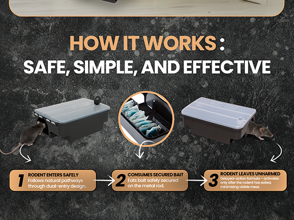 Outdoor rat traps shown in action with bait system and dual entry to manage rodents discreetly