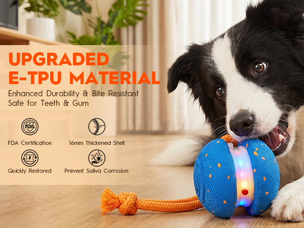 Interactive Rolling Dog Balls