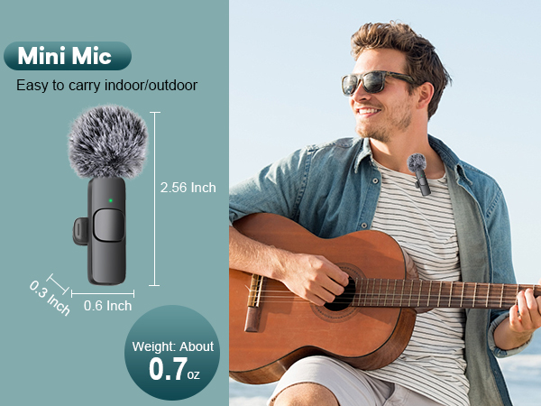 mic