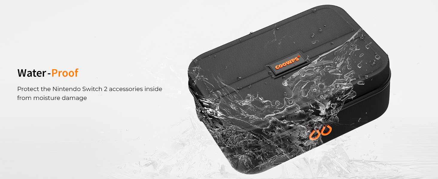 nintendo switch 2 carrying case