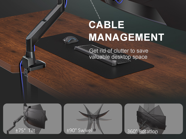 Monitor Arm GSM001XLN