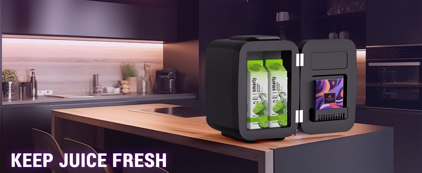 Mini Fridge Small Refrigerator Portable Thermoelectric Cooler and Warmer Fridge