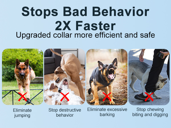 puppy shock collar with remote for training