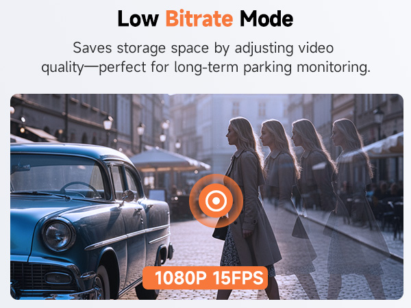 Low Bitrate Mode