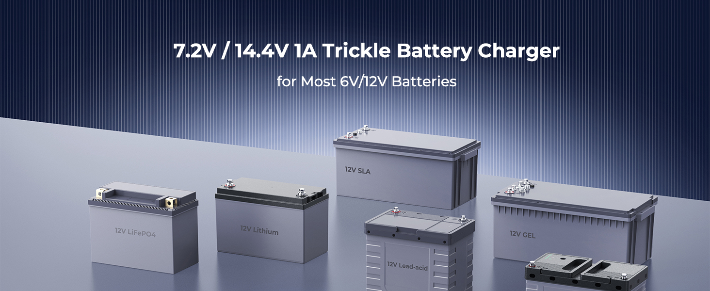 12V 1A Lithium Battery Charger