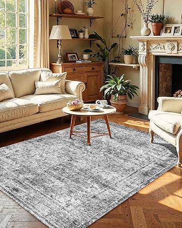 Washable Area Rugs