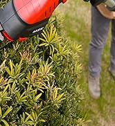 MZK 2-in-1 20V Pole Mini Hedge Trimmer &amp; Grass Shear, 13ft Reach, Electric Hedge Trimmer with Ext...