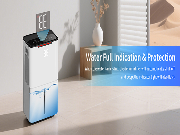 basement dehumidifier-9