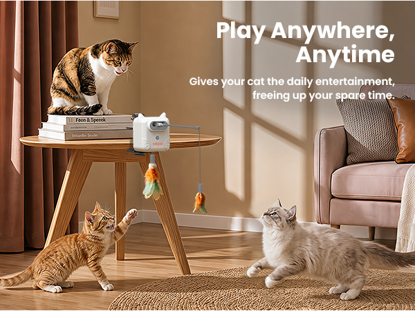 cat toy 611-1