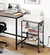 BG22UPS01 printer stand