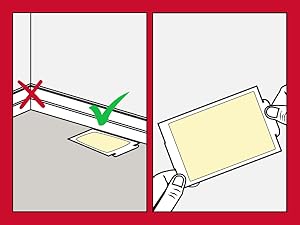 Place along pathways and avoid corners