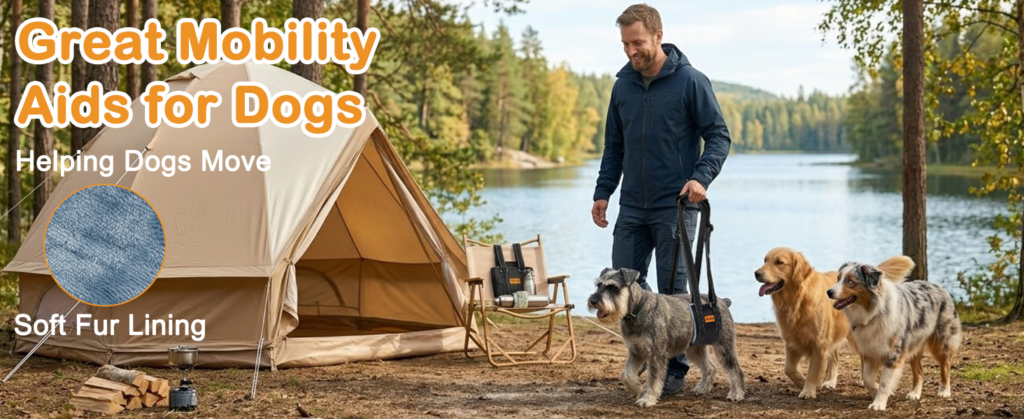 Great Mobility Aids for Dogs