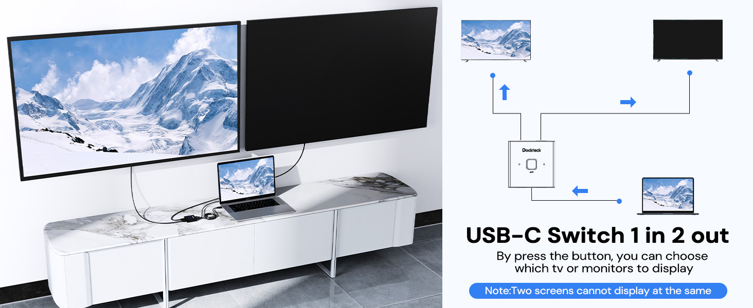 USB-C Switch 1 in 2 out