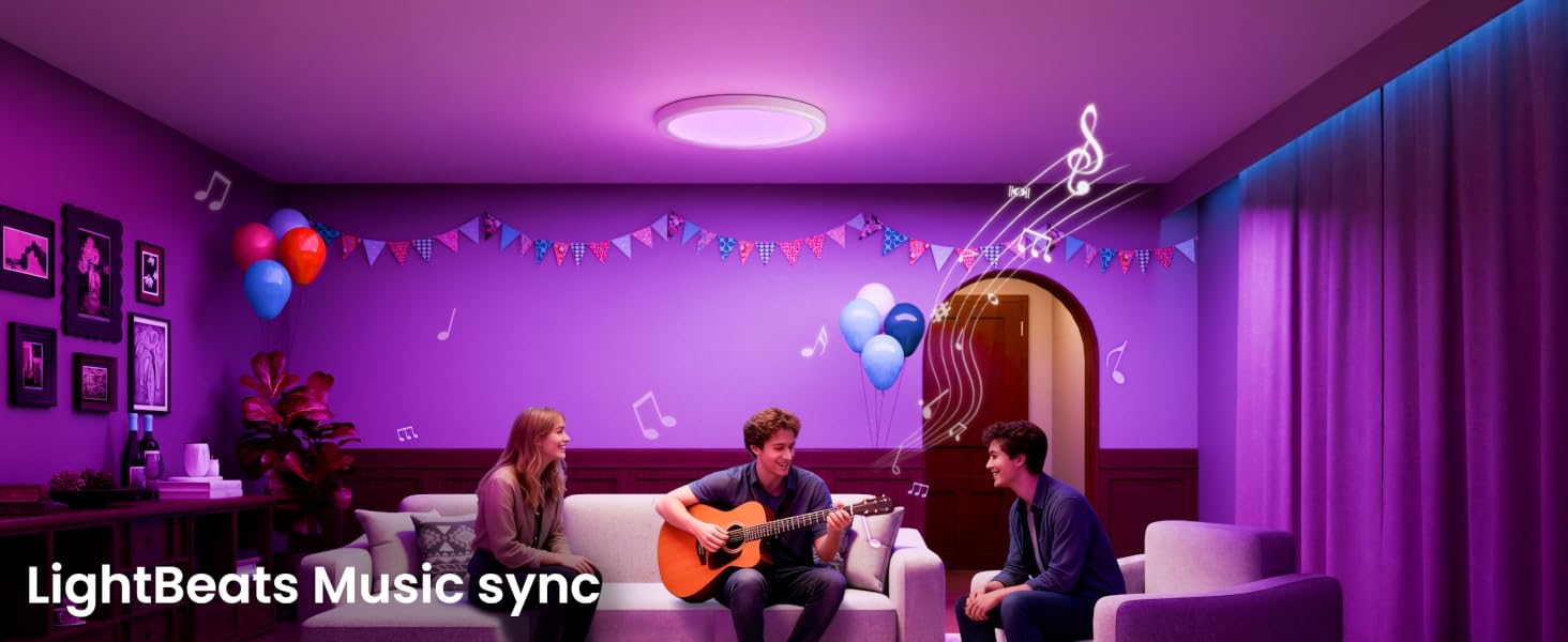 Smart Ceiling Light