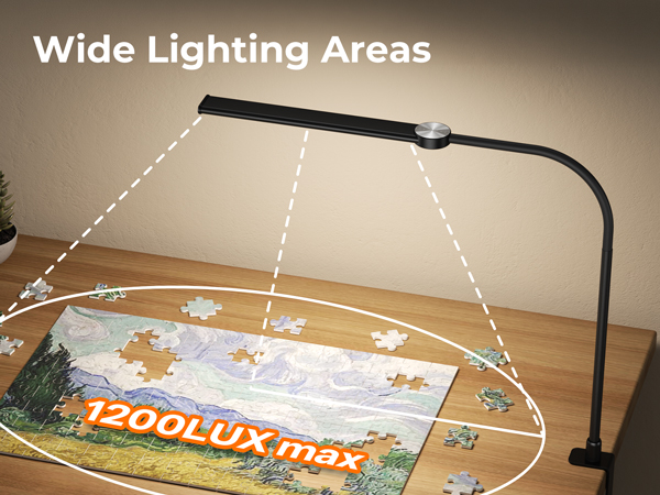 Desk Lamp for Home Office