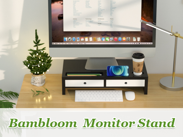 Black and White Monitor Stand