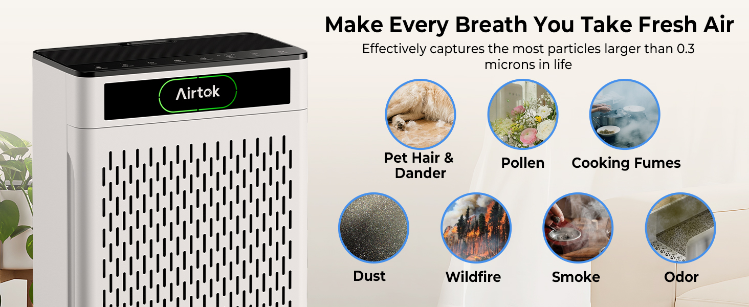 Air Purifiers