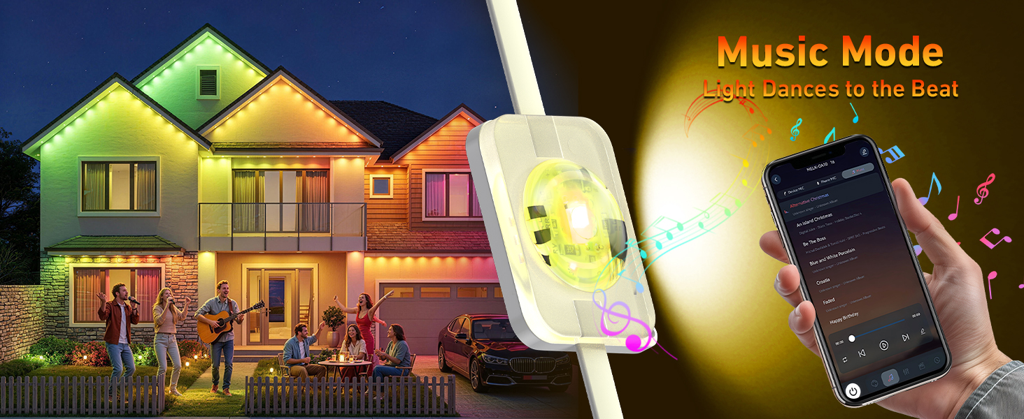 Permanent Outdoor Lights