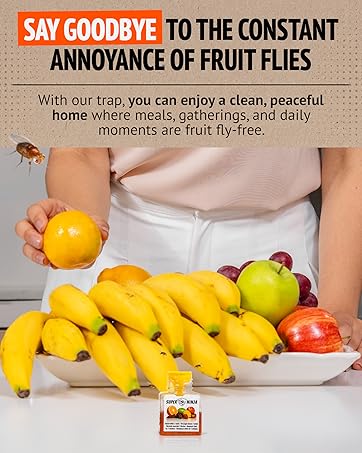 fruit flies coming from trash can