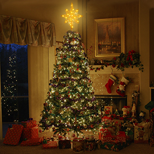 Star tree topper