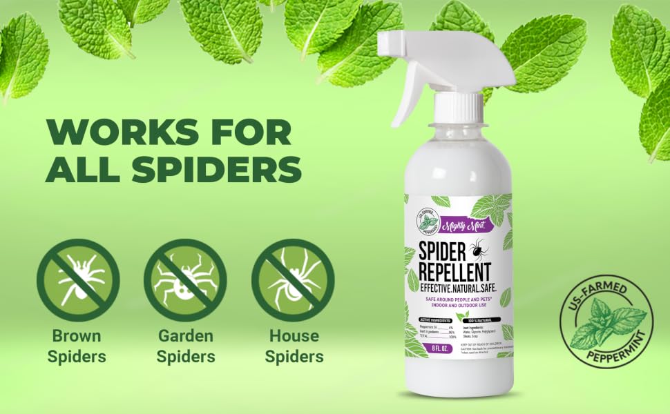 Works to kill and repel most types of spider, brown spider, garden spider, house spider