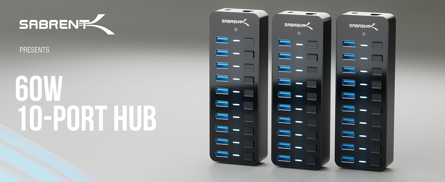 60W 10-Port Hub