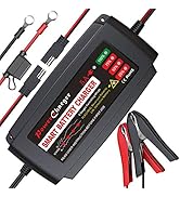 BMK 12V 5A Smart Battery Charger Portable Battery Maintainer with Detachable Alligator Rings Clip...